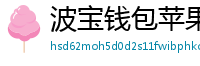 波宝钱包苹果版下载